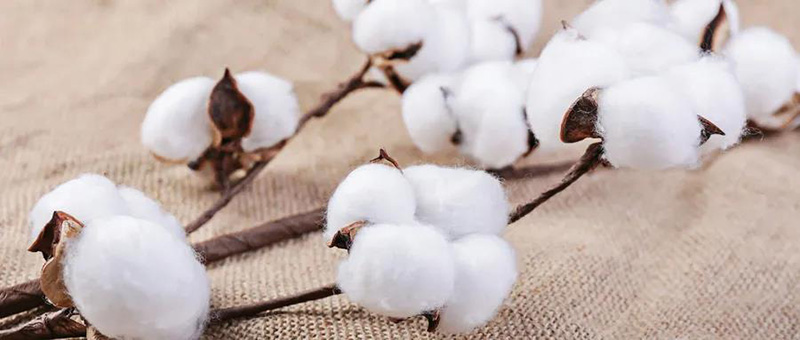 廣電計(jì)量紡織品檢測(cè)服務(wù)，與您共同致力國(guó)貨質(zhì)量提升。